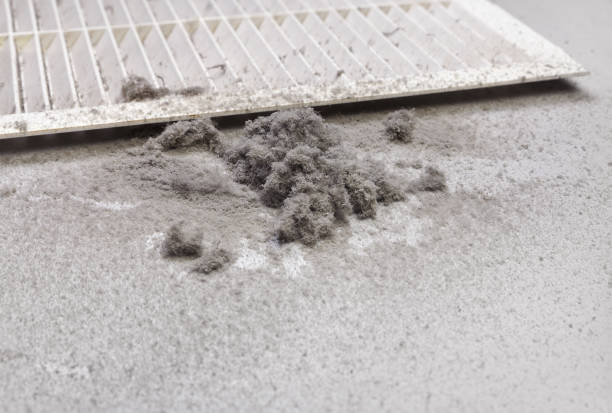 Best Ductwork Cleaning Services  in Caddo Mills, TX